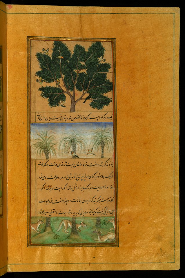 Zahir al-Din Muhammad Babur - Date Trees of Hindustan - Walters W59628B - Full Page