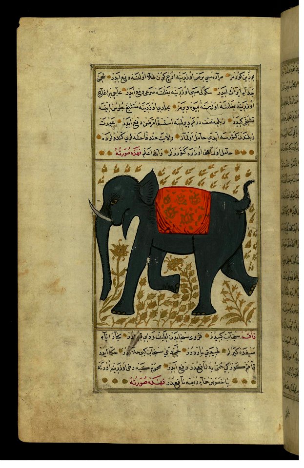 Zakariya ibn Muhammad Qazwini - An Elephant - Walters W659109A - Full Page