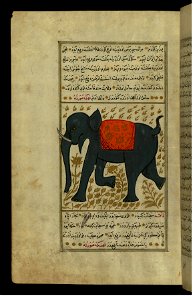 Zakariya ibn Muhammad Qazwini - An Elephant - Walters W659109A - Full Page