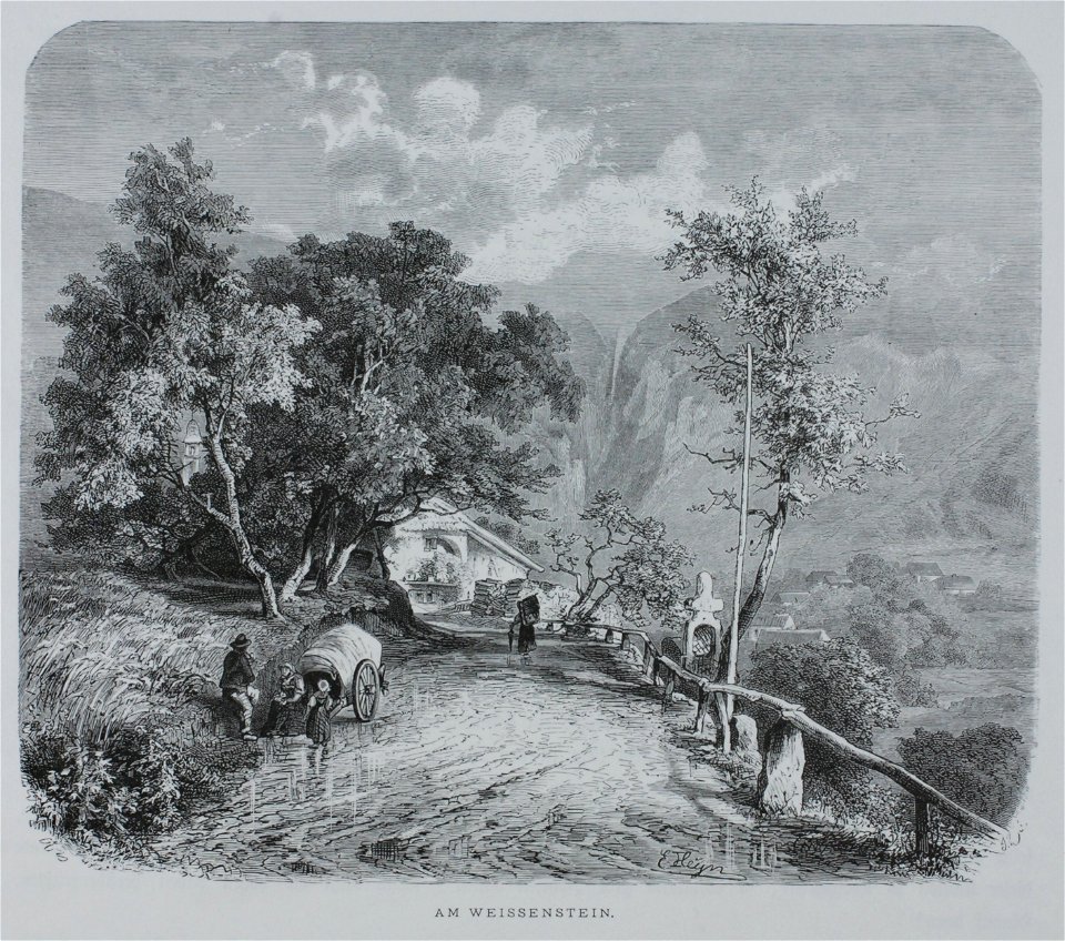 Zentralbibliothek Solothurn - AM WEISSENSTEIN - a1106