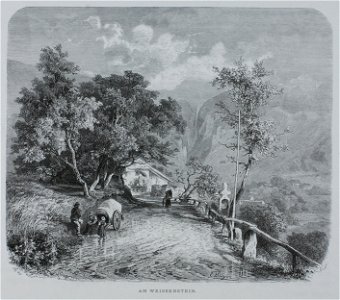 Zentralbibliothek Solothurn - AM WEISSENSTEIN - a1106