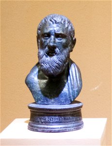 Zeno - portrait for a library, Colosseum