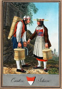 Zentralbibliothek Solothurn - Canton Kantonswappen Soleure - aa0093