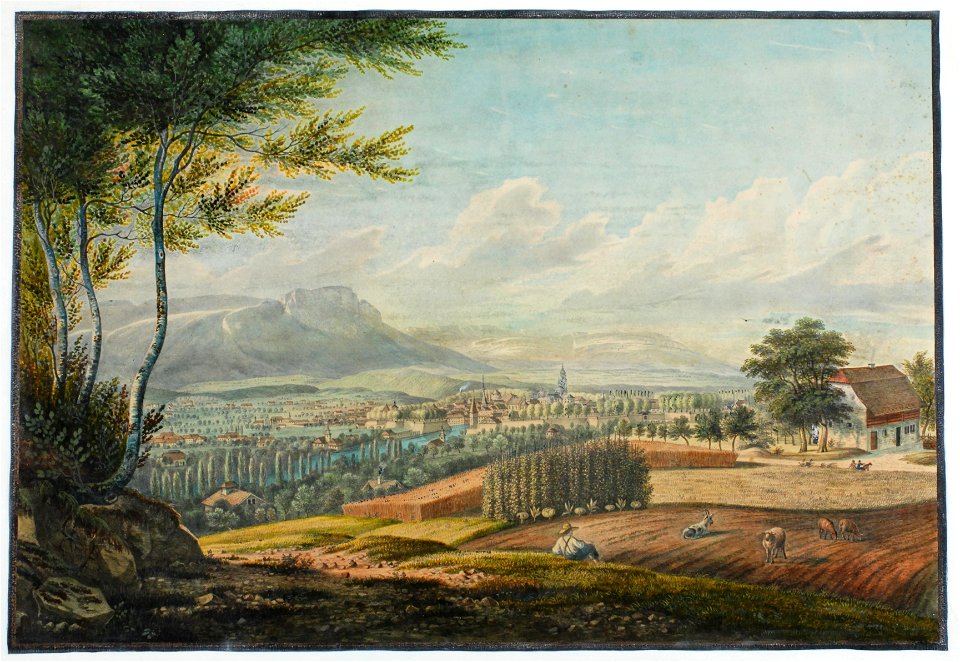 Zentralbibliothek Solothurn - Blick auf Solothurn - aa0771