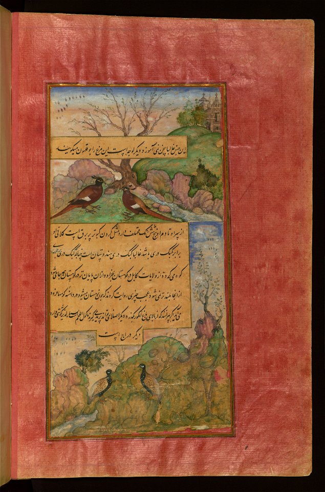 Zahir al-Din Muhammad Babur - Birds of Hindustan - Luchas, Called Buqalamun, and Partridges - Walters W59631B - Full Page