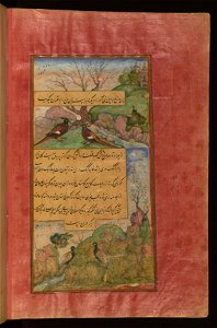 Zahir al-Din Muhammad Babur - Birds of Hindustan - Luchas, Called Buqalamun, and Partridges - Walters W59631B - Full Page. Free illustration for personal and commercial use.