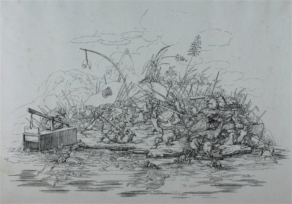 Zentralbibliothek Solothurn - Die Froschmäuseler - aa0242