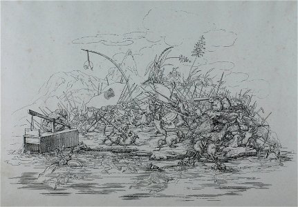 Zentralbibliothek Solothurn - Die Froschmäuseler - aa0242