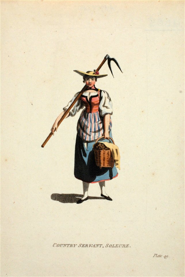 Zentralbibliothek Solothurn - COUNRTY SERVANT SOLEURE - a0605