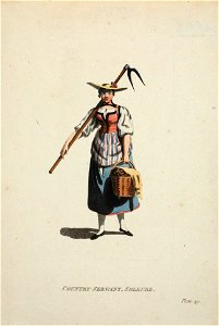 Zentralbibliothek Solothurn - COUNRTY SERVANT SOLEURE - a0605