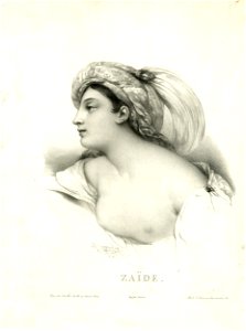Zaïre (BM 1917,0523.38)