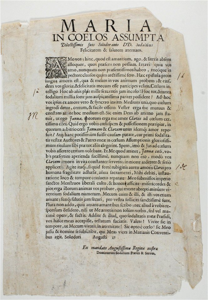 Zentralbibliothek Solothurn - MARIA IN COELOS ASSUMPTA dilectissimis suis Solodoranis DD Sodalibus Felicitatem Salutem aeternam - aa0598
