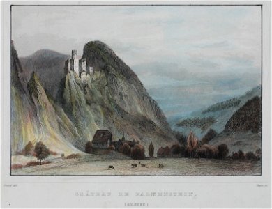 Zentralbibliothek Solothurn - CHÂTEAU DE FALKENSTEIN Soleure - a0172