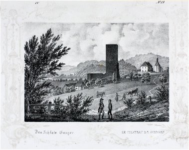 Zentralbibliothek Solothurn - Das Schloss Goesgen LE CHATEAU DE GOESGEN - aa0282