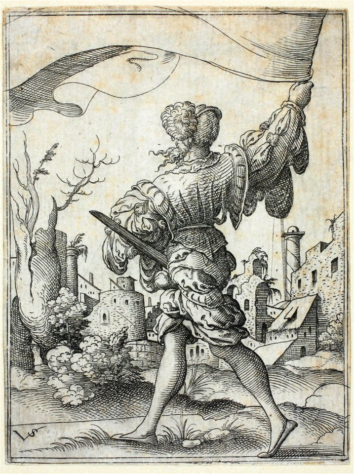 Zentralbibliothek Solothurn - Fahnenschwinger - a0481