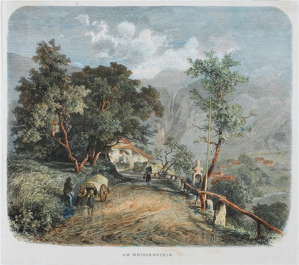Zentralbibliothek Solothurn - AM WEISSENSTEIN - a0595