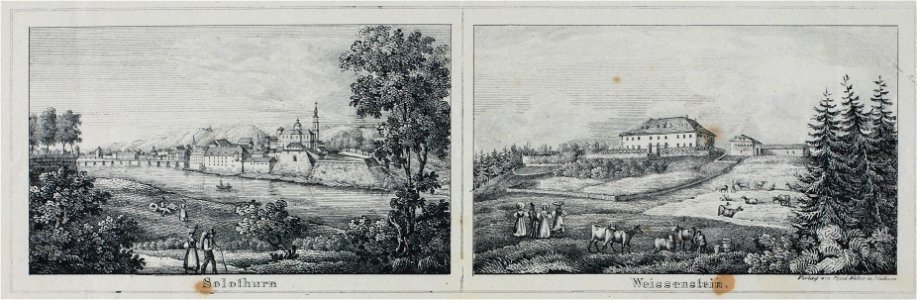 Zentralbibliothek Solothurn - Solothurn - a0975