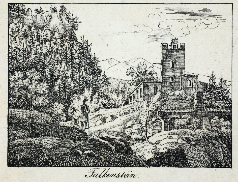 Zentralbibliothek Solothurn - Falkenstein - a0178