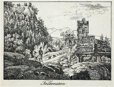 Zentralbibliothek Solothurn - Falkenstein - a0178