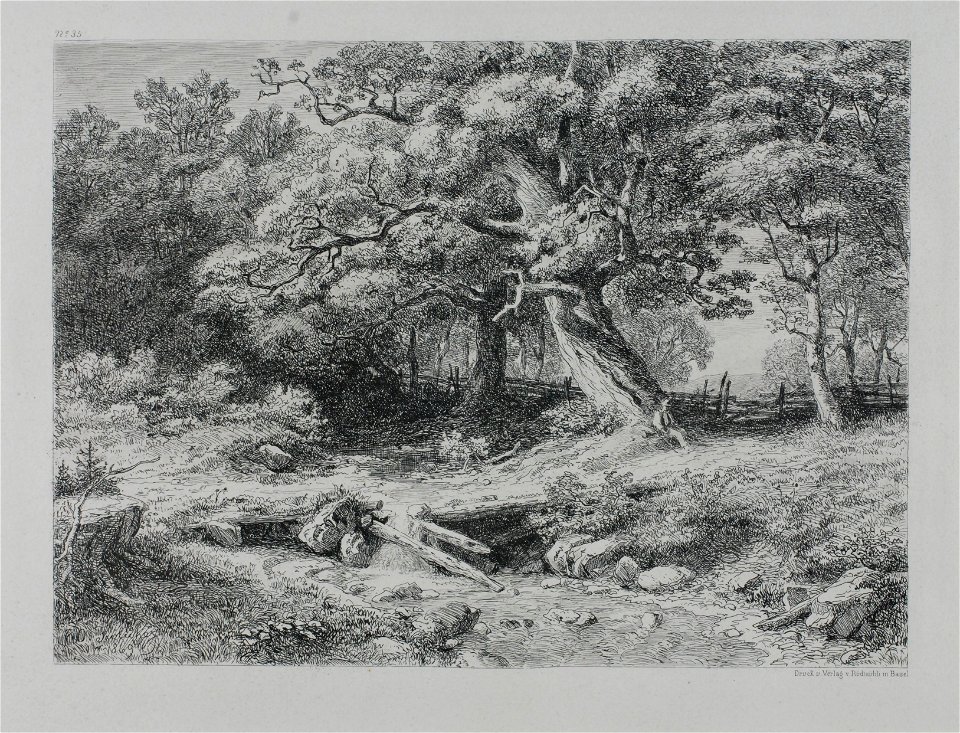 Zentralbibliothek Solothurn - Alte Eichen - aa0278