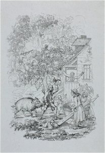 Zentralbibliothek Solothurn - Münchhausen mit dem blinden Wildschwein - a0388