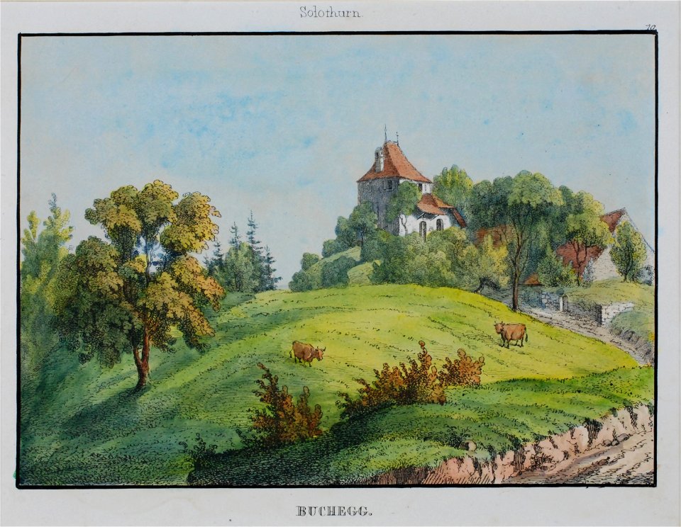 Zentralbibliothek Solothurn - BUCHEGG - a0376