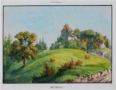 Zentralbibliothek Solothurn - BUCHEGG - a0376