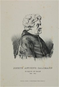 Zentralbibliothek Solothurn - JOSEPH ANTOINE SALZMANN EVEQUE DE BALE 18281854 - a0685