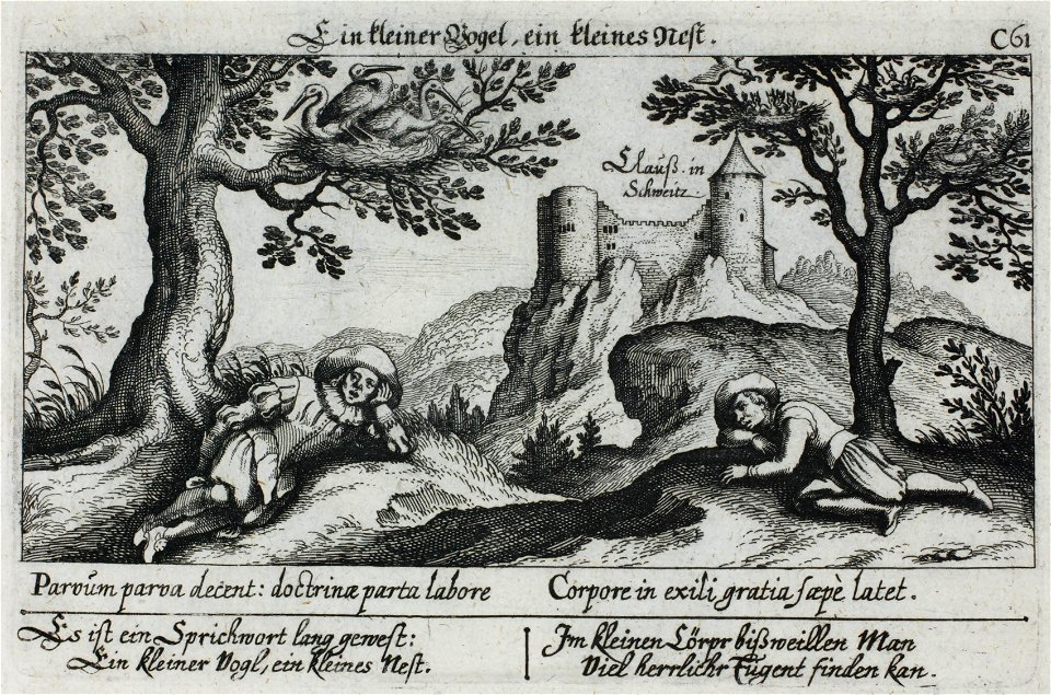 Zentralbibliothek Solothurn - Oberhalb des Bildes Ein kleiner Vogel ein kleines Nest unterhalb des Bildes Parvúm parva decent doctrinæ parta labore Corpore in exili sæpè latet links Es ist ein Sprichwort lang gewest Ein - a0328