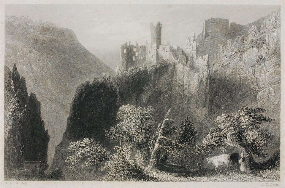 Zentralbibliothek Solothurn - Ruine NeuFalkenstein - a0173