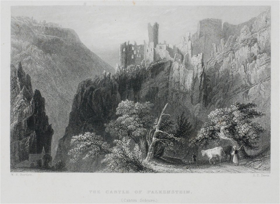 Zentralbibliothek Solothurn - THE CASTLE OF FALKENSTEIN Canton Soleure - a0181