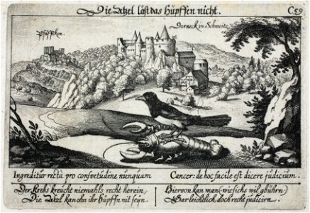 Zentralbibliothek Solothurn - Oberhalb des Bildes Die Atzel läst das Hüpffen nichtunterhalb des Bildes Ingreditur recta pro consvetudine nunquam Cancer de hoc facile est dicere judicium links Der Krebs kreucht niemahls - a0188