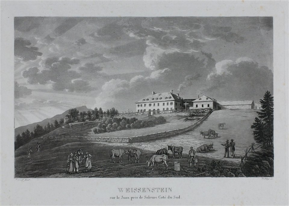 Zentralbibliothek Solothurn - WEISSENSTEIN sur le Jura près de Soleure Coté du Sud - aa0332