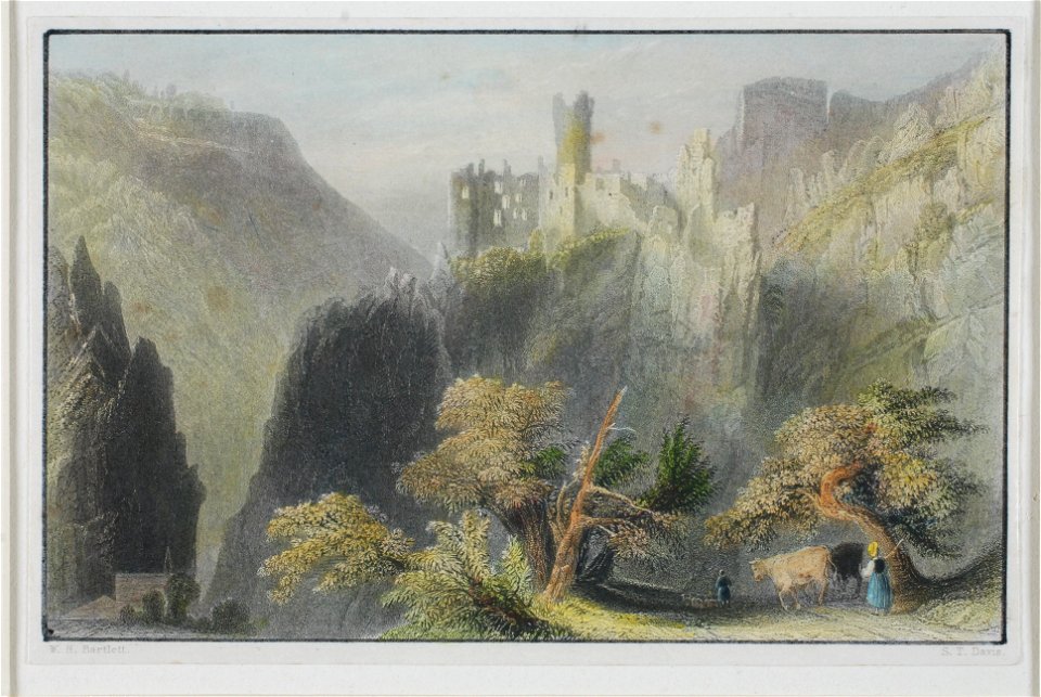 Zentralbibliothek Solothurn - Ruine NeuFalkenstein - a0176