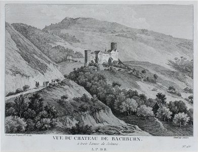 Zentralbibliothek Solothurn - VUE DU CHATEAU DE BACHBURN à trois Lieues de Soleure - aa0168