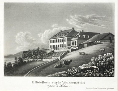 Zentralbibliothek Solothurn - LHôtellerie sur le Weissenstein près de Soleure - a0271