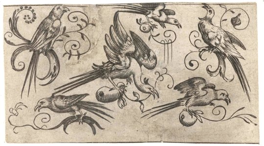 Zes vogels op takken met ranken
