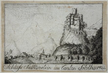 Zentralbibliothek Solothurn - Schloss Falkenstein im Canton Solothurn - a0175