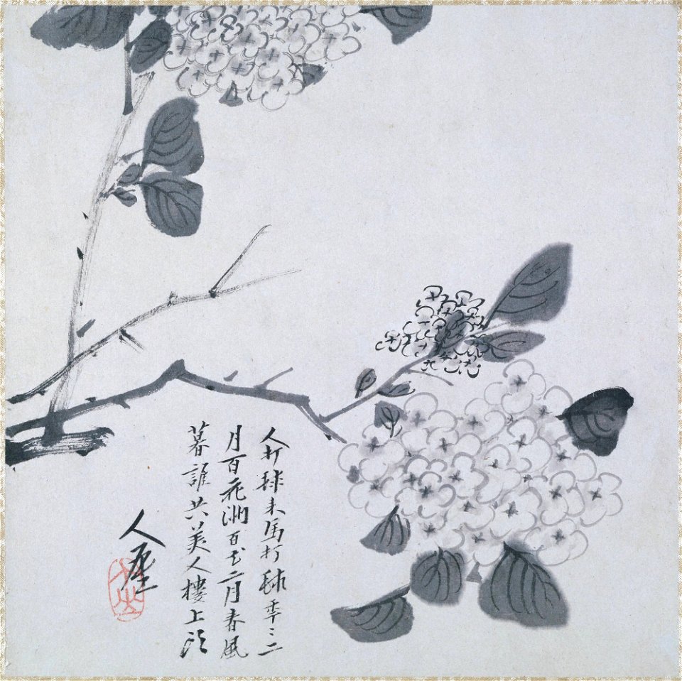 Zhu Da 朱耷 - Branch of Hydrangea - y1963-39 b - Princeton University Art Museum