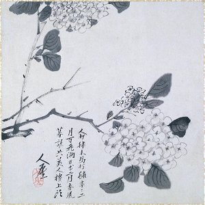 Zhu Da 朱耷 - Branch of Hydrangea - y1963-39 b - Princeton University Art Museum