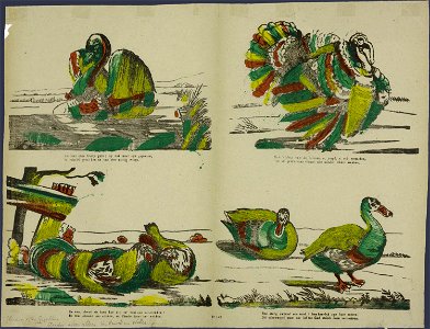 Zie hier eene fraeije gans; zy ook moet zyn geprezen-Catchpenny print-SMC K 0033