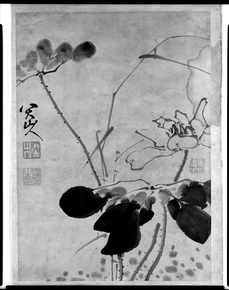 Zhu Da (also known as Bada Shanren) - SUMI ALBUM LEAF OF THREE LOTUS FLOWERS - 1967.41 - Arthur M. Sackler Museum