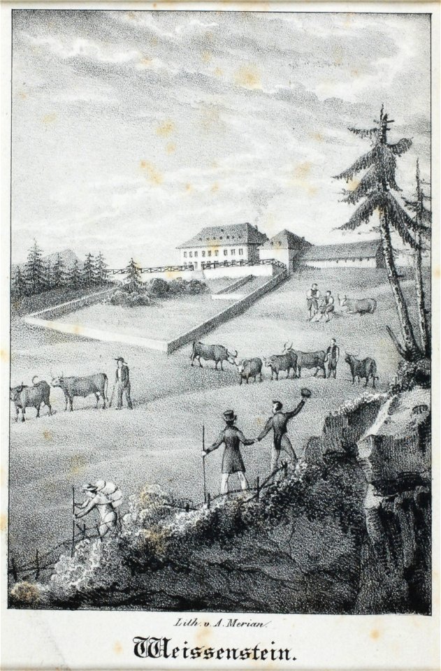 Zentralbibliothek Solothurn - Weissenstein - a0650