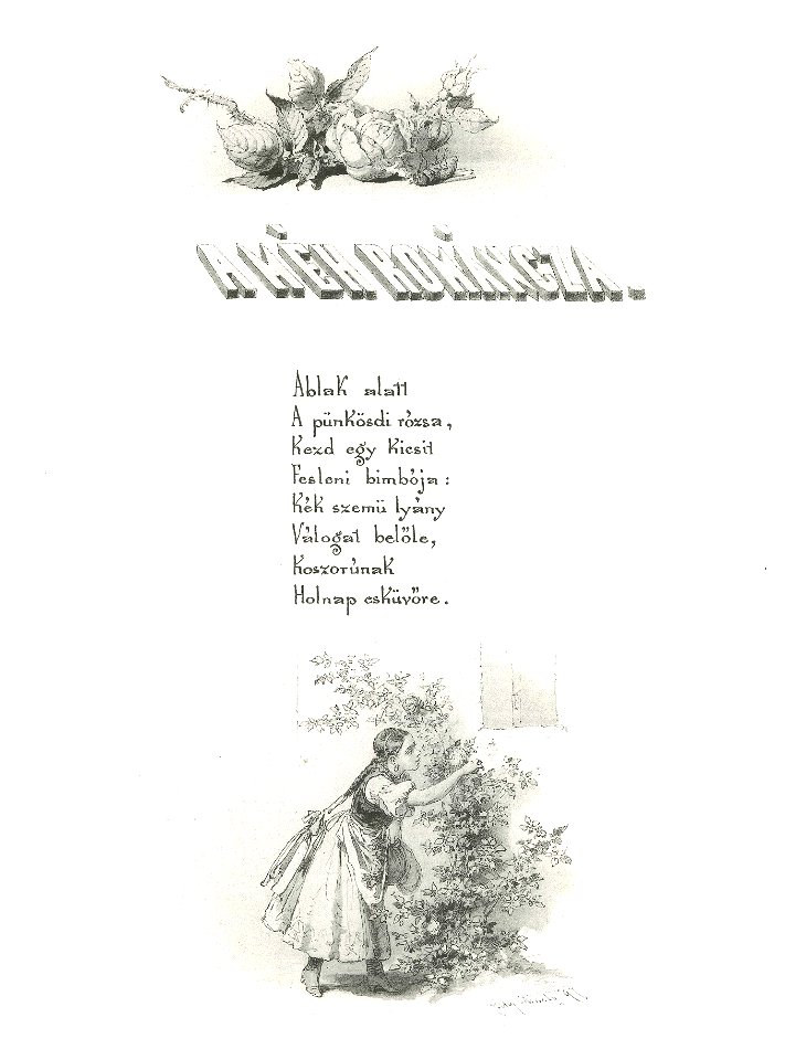 Zichy-arany-p135