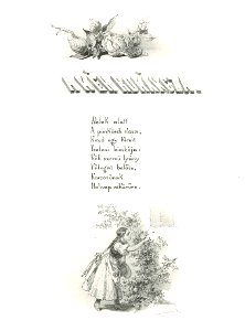Zichy-arany-p135