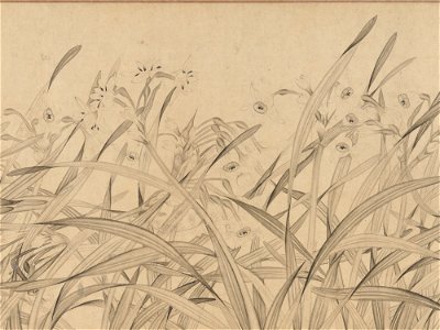 Zhao Mengjian - Narcissus - 1973.120.4 - Metropolitan Museum of Art
