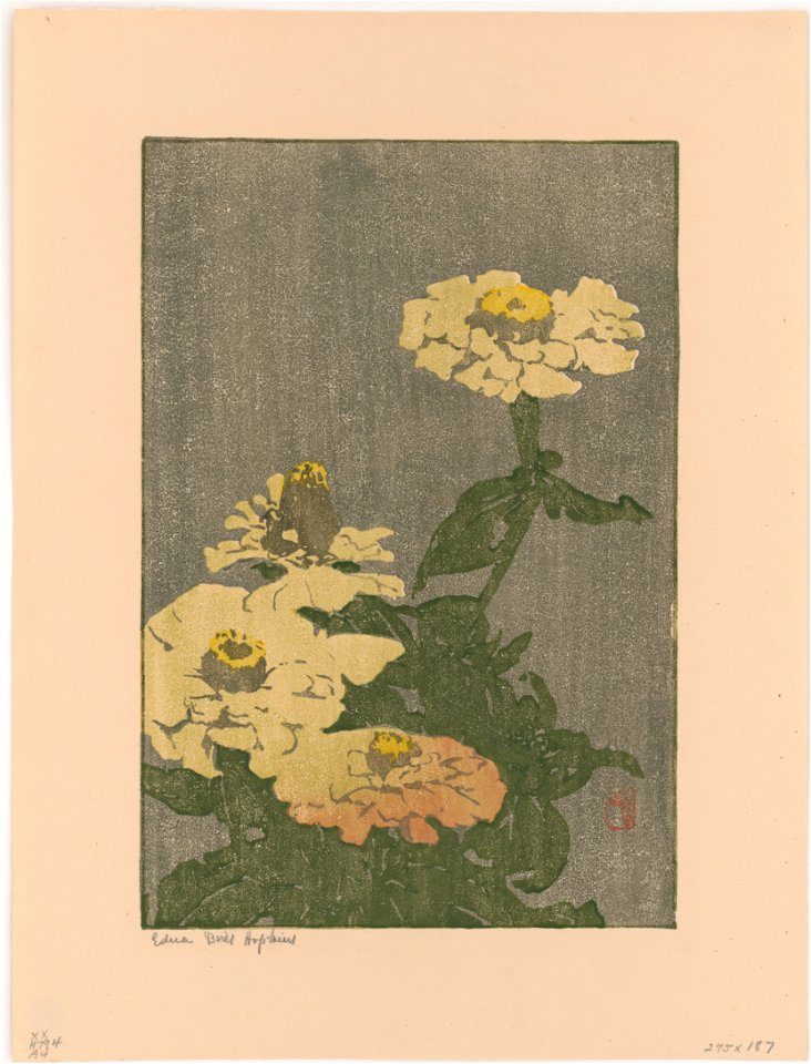 Zinnia) - Edna Boies Hopkins LCCN2015646557