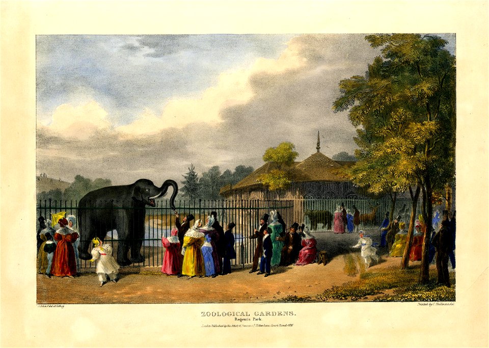Zoological Gardens. Regent's Park. (BM 1862,1108.579)
