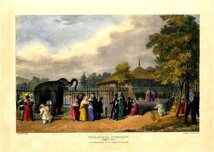 Zoological Gardens. Regent's Park. (BM 1862,1108.579)