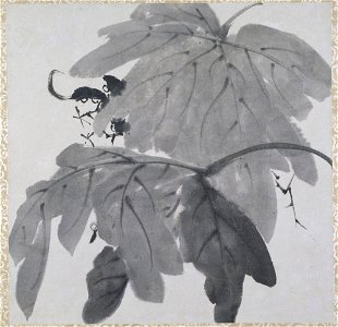 Zhu Da 朱耷 - Two Grape Leaves - y1963-39 h - Princeton University Art Museum